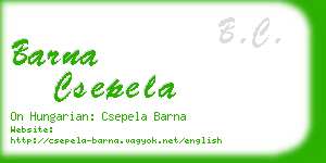 barna csepela business card